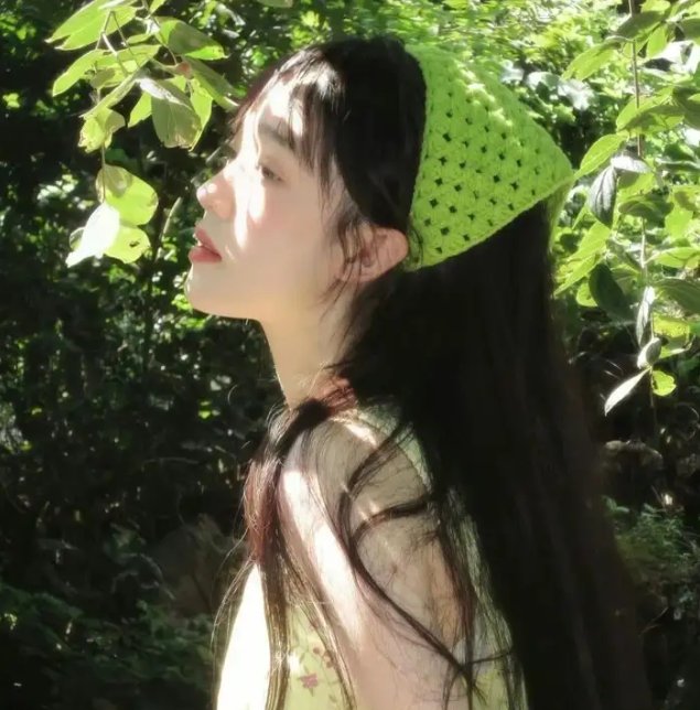 帝王蝶之子